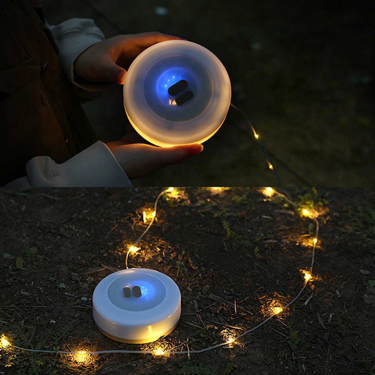Velora String Lights